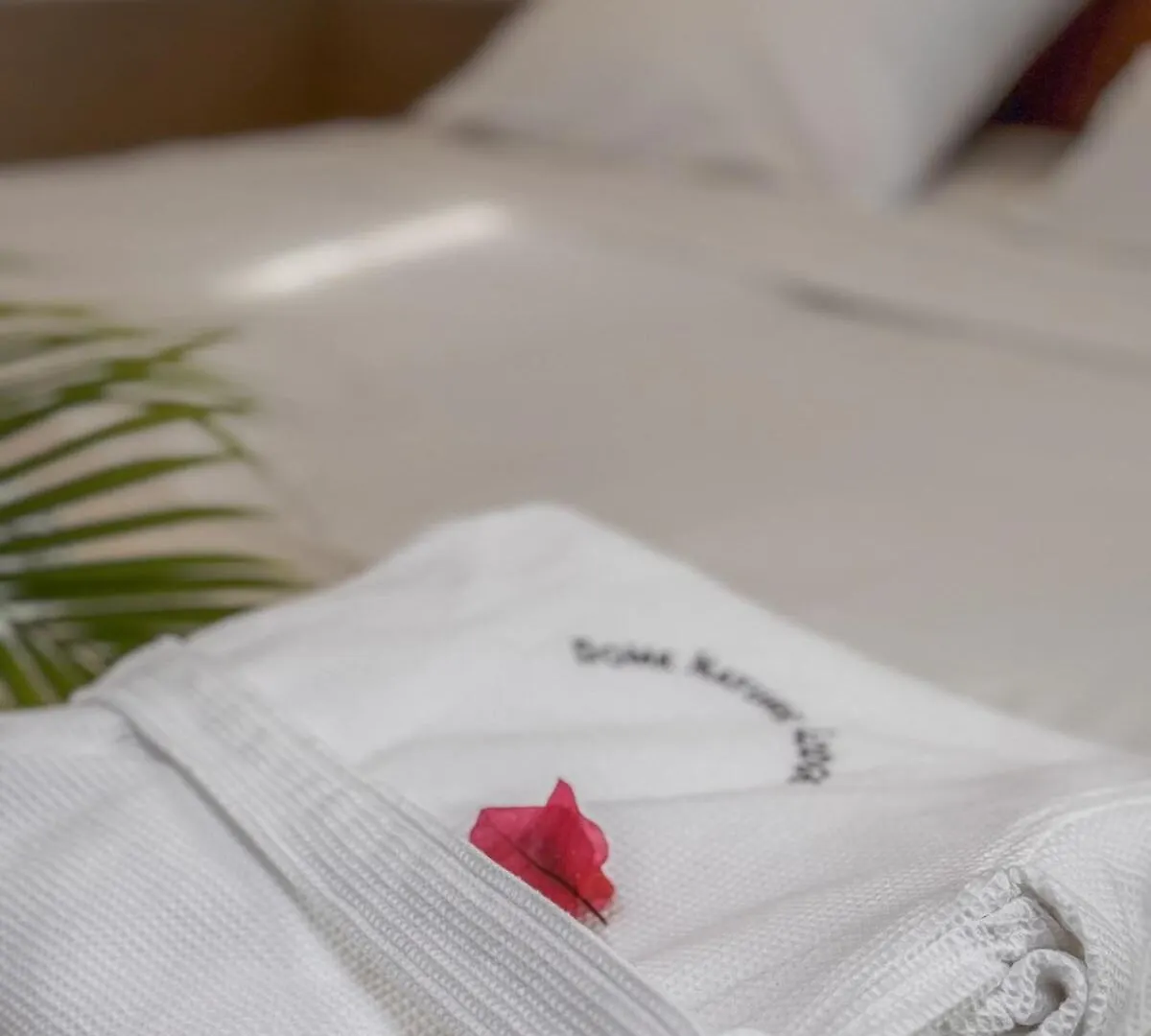 Maison Sur L Eau Dom Nature Lodge & Spa Sainte Luce 船上ホテル サント・リュス