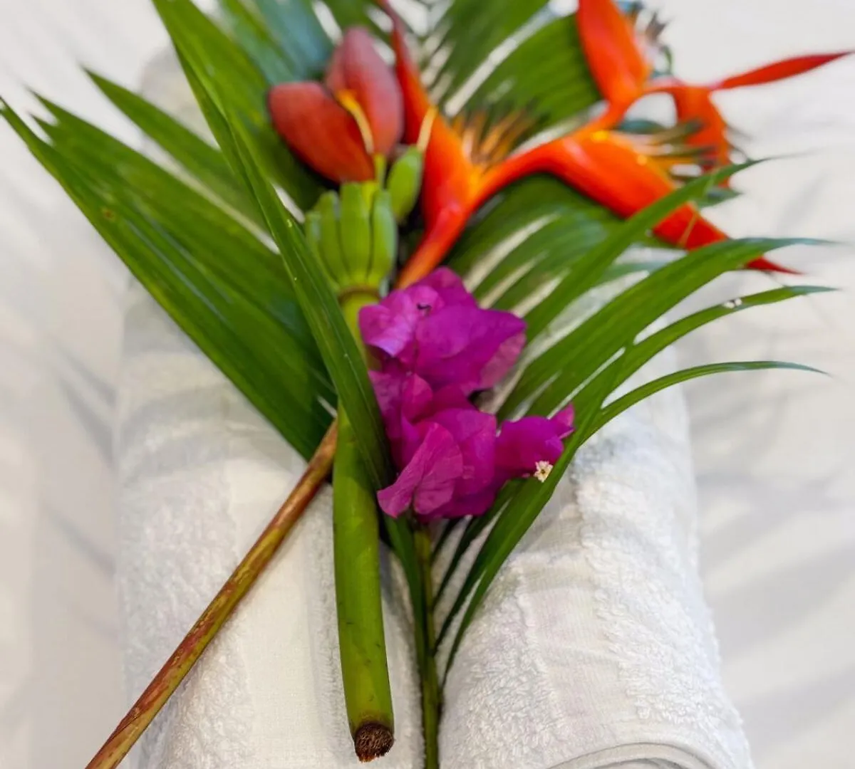 Maison Sur L Eau Dom Nature Lodge & Spa Sainte Luce Martinique